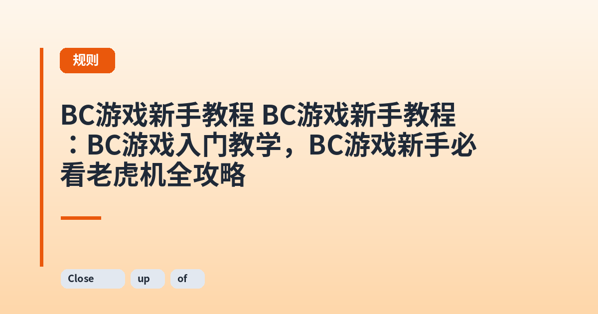 这类它 它：BC游戏入门教学，BC游戏新手必看老虎机全攻略 内容配图 3