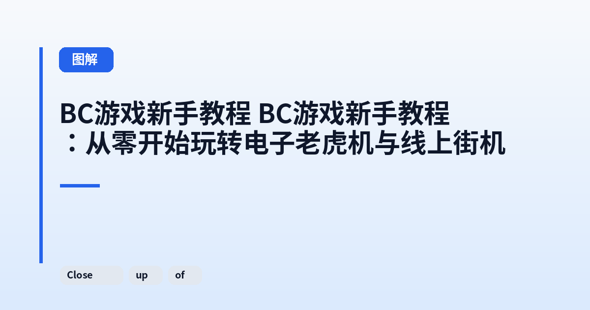 这类它 它：从零开始玩转电子老虎机与线上街机 内容配图 2