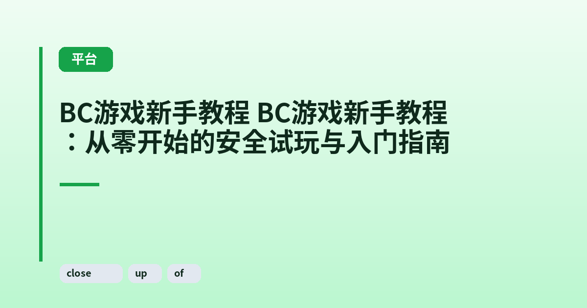 它 这类它：从零开始的安全试玩与入门指南 内容配图 2